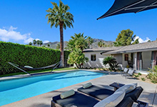 Twelve Palms