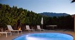 Palm Canyon Retreat vacation rental