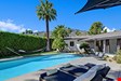 Twelve Palms